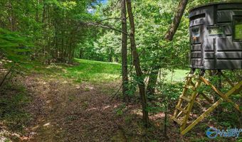 Unit # 0 Murphree Valley Road, Altoona, AL 35952