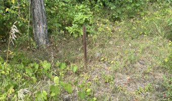 V/L 108TH AVENUE, Allegan, MI 49010