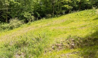 1361 Weaver Hollow Rd, Andes, NY 13731