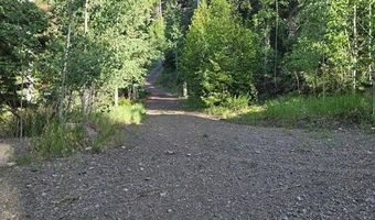 1407 Clarke Mountain Ln, Antonito, CO 81120