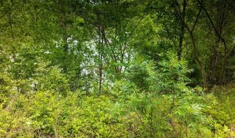 0 Lakeside Drive Lot 27-32 Lot 27-32, Arley, AL 35541