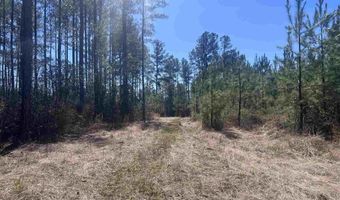 3 Robinsonville Rd, Atmore, AL 36502