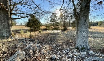 000 County Road 413, Alton, MO 65606