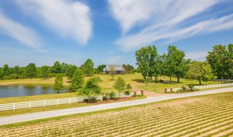 21 Sherman Blankenship Rd, Beech Bluff, TN 38313