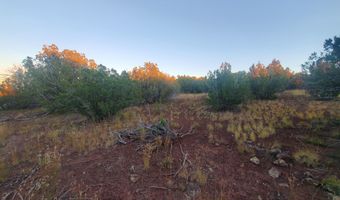 1 COUNTY ROAD N8155, Concho, AZ 85924