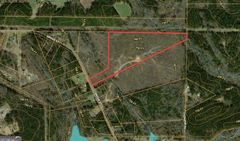 00 Grove 25.28 ACRES, Barnesville, GA 30204