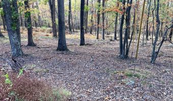 BIG HORN Trail, Augusta, WV 26704