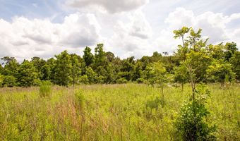 2512 Beulah Church Rd, Alma, GA 31510