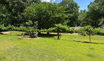 115 Carter Ridge Rd, Abbeville, AL 36310