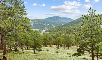 839 Ski Rd, Allenspark, CO 80510