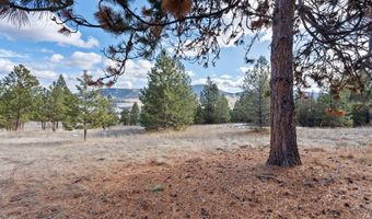 28118 Spring Ln, Big Arm, MT 59910
