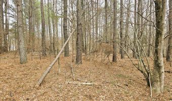 Zig Zag, Big Sandy, TN 38221