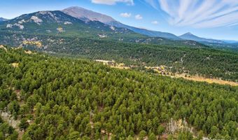 County Road 84 W, Allenspark, CO 80510