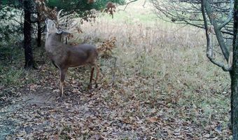 TBD 194th Avenue, Argyle, IA 52619