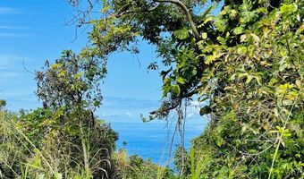 87-2721 Hawaii Belt Rd, Captain Cook, HI 96704