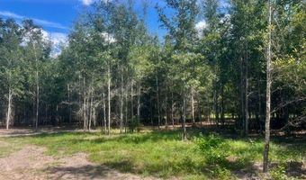 4899 36th St, Bell, FL 32619