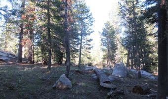 175 Silver Tip Dr, Bear Valley, CA 95223