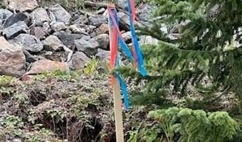 355 Quandary View Dr Lot 12, Breckenridge, CO 80424