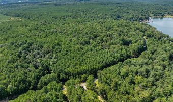 000 McCoy Pointe Dr, Arley, AL 35541