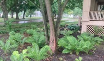 130 S Pine St, Arcola, IL 61910