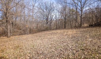 509 Old Cane Bluff Rd, Alton, MO 65606