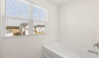 2246 Saltwater Bnd, Beech Island, SC 29842