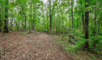 731 Clamp Rd, Blythewood, SC 29016