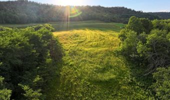 TBD Bear Pen Rd, Arkansaw, WI 54721