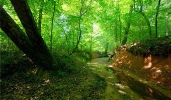 Todd Road, Advance, NC 27006