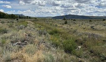TBD Conejos River Trails, Antonito, CO 81120