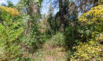 0 Hogan Rd, Applegate, OR 97530