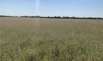 S Hwy 281, Alice, TX 78332