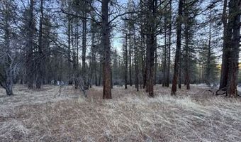 Bobcat Circle, Beatty, OR 97621