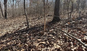Rt 1 County Rd 14-531, Ava, MO 65608