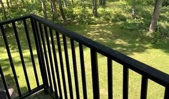 907 Chardonnay, Lewiston, MI 49756