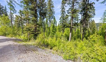 397 Saddlehorn Trl, Bigfork, MT 59911