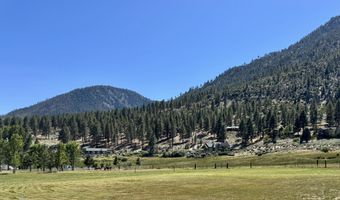 565 Jackson Ranch Rd, Gardnerville, NV 89460