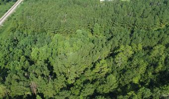 0 Lowery Rd Lot #11, Atmore, AL 36502