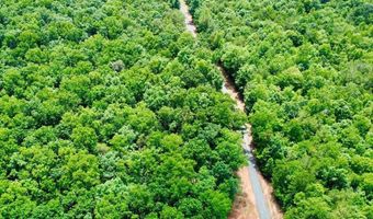 225 Coburn Ln, Appomattox, VA 24522