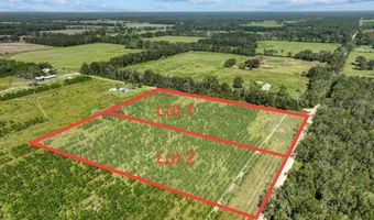 Lot 1 50th Ave, Bell, FL 32619