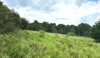 0001 E 1960 Rd, Antlers, OK 74523