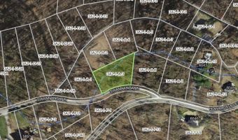 Block A Lot 3 SWANNANOA LN 1, Afton, VA 22920