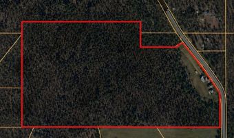 912 Four Mile Church Rd, Ball Ground, GA 30107