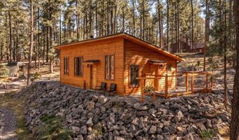 24 County Rd 2267, Alpine, AZ 85920