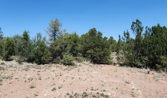 Ranch And Cattle lot 13, Ash Fork, AZ 86320