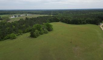 167 E W Morgan, Arcadia, LA 71001