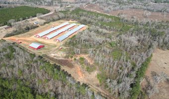 219 County Road 6628, Banks, AL 36005