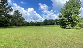 3945 Old Trezevant Rd, Atwood, TN 38220