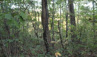 240 LN 250 Fox Lk 31, Angola, IN 46703