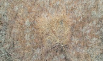 Lot 12-1 Tripp Hollow Road, Brooklyn, CT 06234